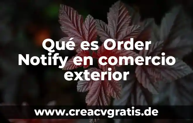 Que es lo que busca méxico con el comercio internacional 5 Qué es Order Notify en comercio exterior