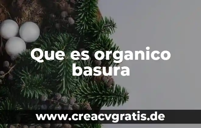 Que es el nombre de la web 7 Que es organico basura