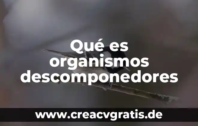 Que es la calidad segun los organismos internacionales 6 Qué es organismos descomponedores