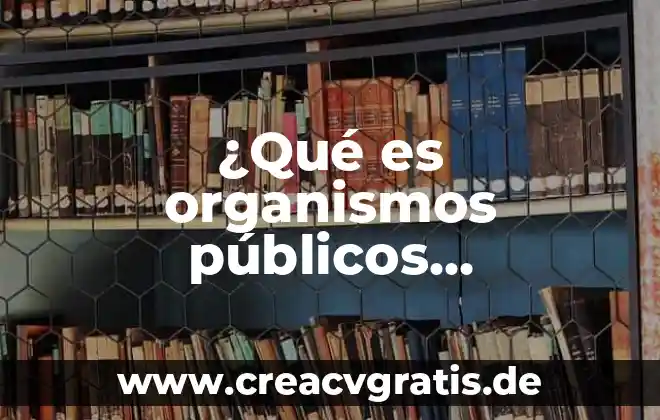 Que es analizar y evaluar programas publicos 4 ¿Qué es organismos públicos electorales?