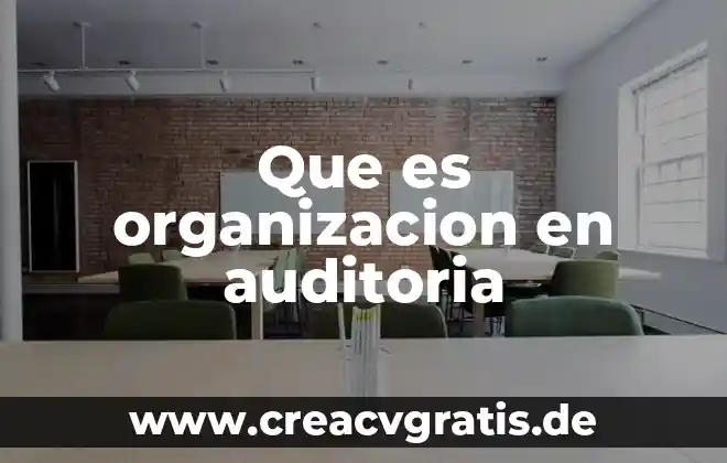 Qué es significa las organización cam 5 Que es organizacion en auditoria