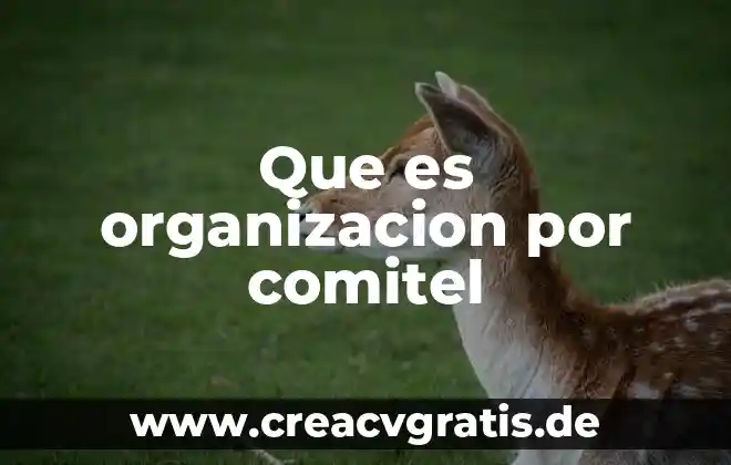 Que es mensaje en organizacion de la informacion 8 Que es organizacion por comitel