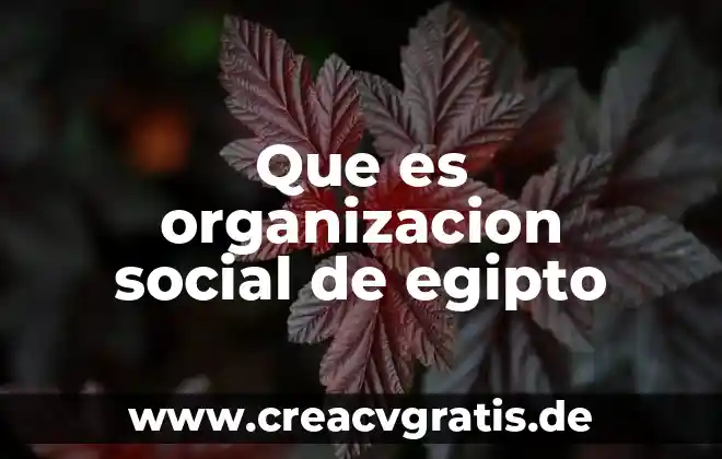 Qué es significa las organización cam 8 Que es organizacion social de egipto