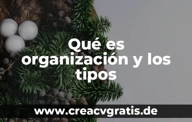 Que es descicion y tipos de decisiones 8 Qué es organización y los tipos