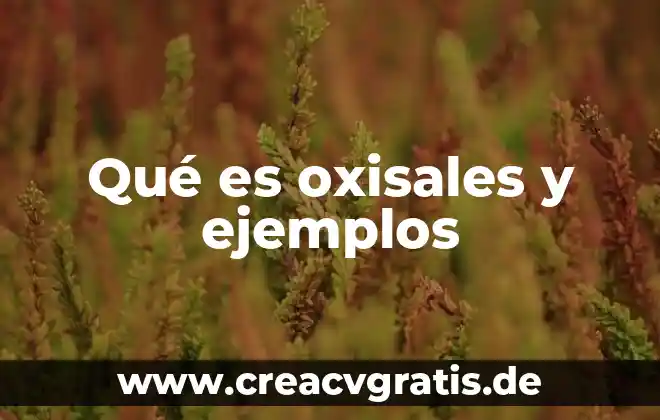 Que es una metáfora su definicion y sus ejemplos 3 Qué es oxisales y ejemplos