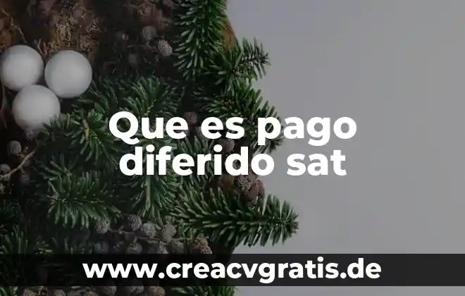 Qué es el pasivo diferido y sus cuentas 5 Que es pago diferido sat