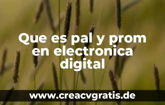 Que es un pago por pay pal 6 Que es pal y prom en electronica digital