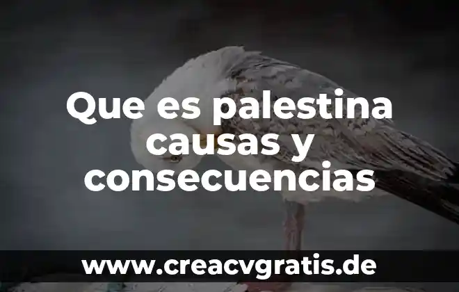 Que es la prostitucion y sus principales causas 8 Que es palestina causas y consecuencias