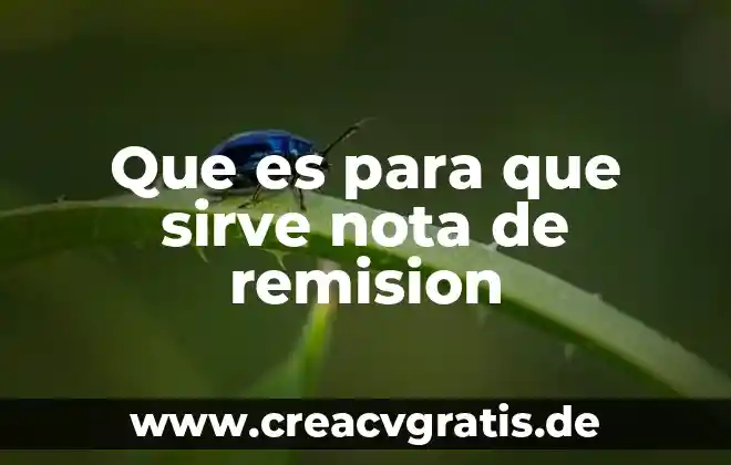 Que es una nota de credito y como funciona 3 Que es para que sirve nota de remision