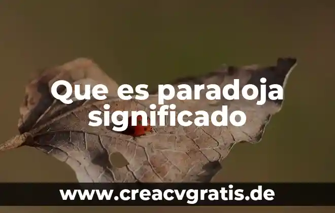 Qué es un soneto concepto o significado 3 Que es paradoja significado