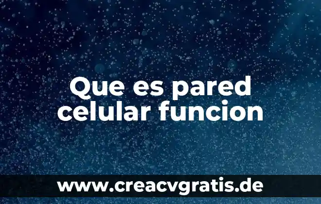 Que es la funcion rellenar en excel 6 Que es pared celular funcion