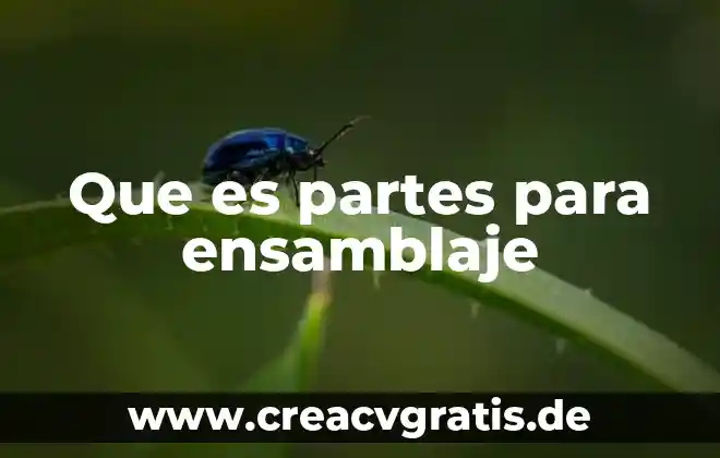 Que es un rumiante y sus partes 8 Que es partes para ensamblaje