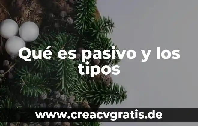 Que es servicio de restaurante y tipos 4 Qué es pasivo y los tipos
