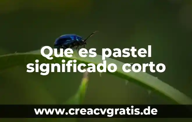 Qué es sector alimentario significado 6 Que es pastel significado corto