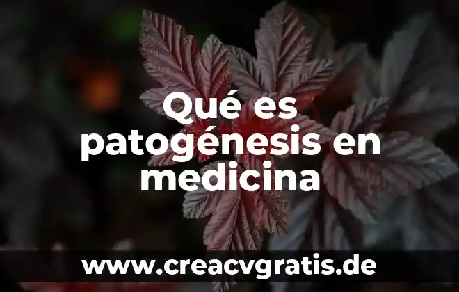 Ingenieria vs medicina que es mas dificil 7 Qué es patogénesis en medicina