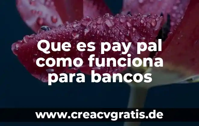 Que es un pago por pay pal 5 Que es pay pal como funciona para bancos