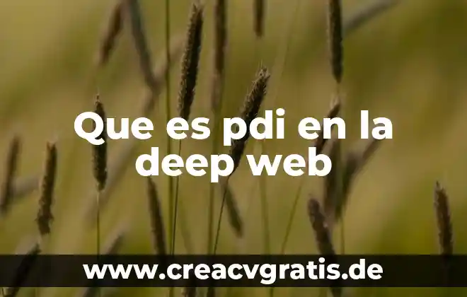 Que es un buscador web y sus tipos 7 Que es pdi en la deep web