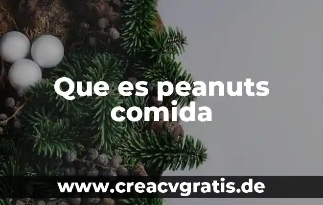 Que es un receta de comida 3 Que es peanuts comida