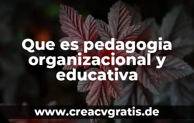Que es cuadra de nombres 8 Que es pedagogia organizacional y educativa