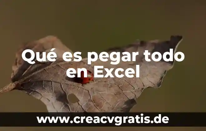 Y le dio un nombre que es sobre todo nombre 7 Qué es pegar todo en Excel