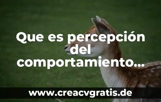Qué es significancia estadística prueba de hipótesis 5 Que es percepción del comportamiento del mercado