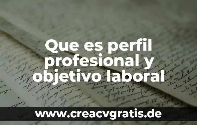Que es actividad empresarial y profesional 5 Que es perfil profesional y objetivo laboral
