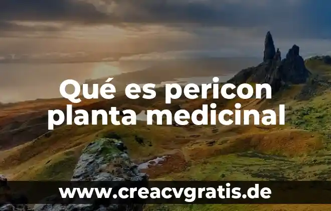 Que es un embrion de planta 3 Qué es pericon planta medicinal