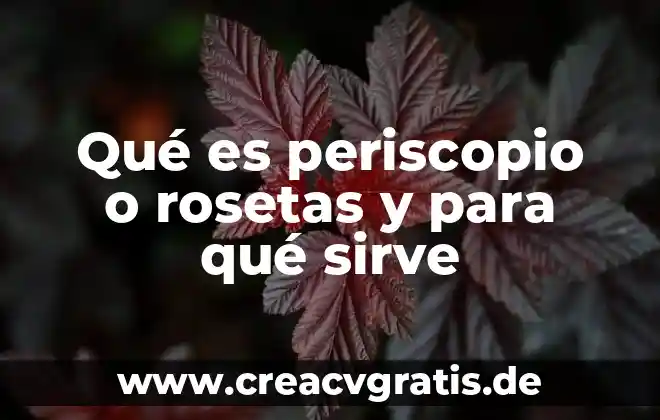 Pilates reformer que es y para que sirve 6 Qué es periscopio o rosetas y para qué sirve