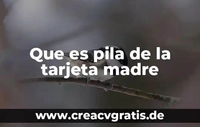 Que es la definicion del ovulo de la flor 4 Que es pila de la tarjeta madre
