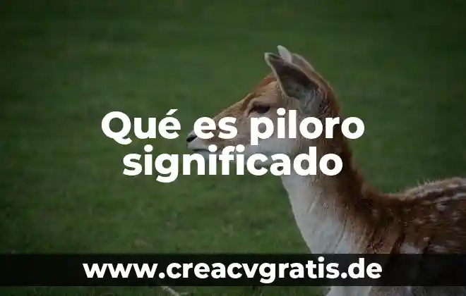 Que es determinista significado 7 Qué es piloro significado