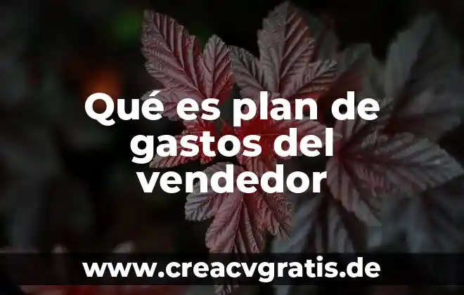 Que es un vendedor y que tipos 8 Qué es plan de gastos del vendedor