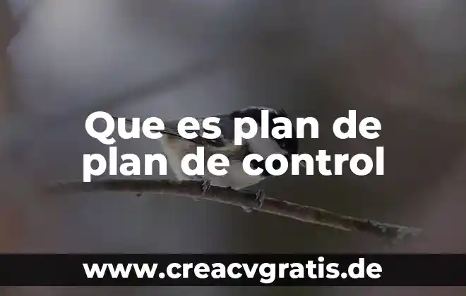 Que es un plan de trabajo esquematizado 8 Que es plan de plan de control