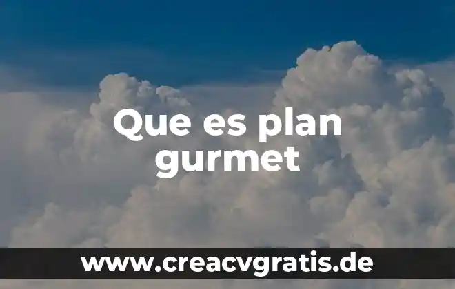 Que es un plan de trabajo y como se elabora 6 Que es plan gurmet