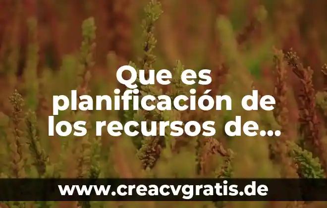 Que es glob en analisis de sangre 5 Que es planificación de los recursos de distribución