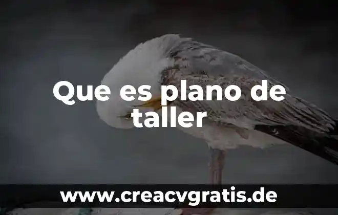 Qué es un plano definición 3 Que es plano de taller
