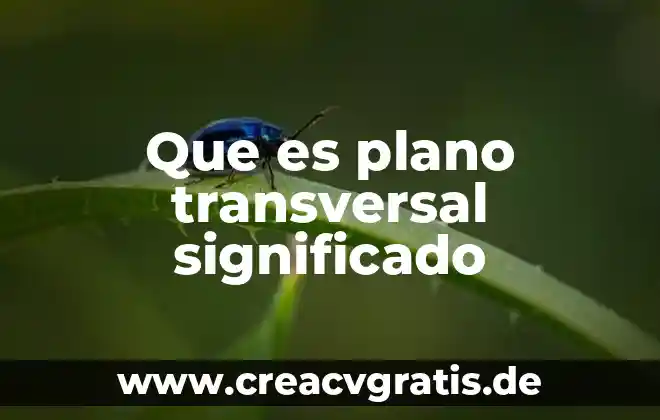 Plano instalación hidráulica que es cdv 6 Que es plano transversal significado