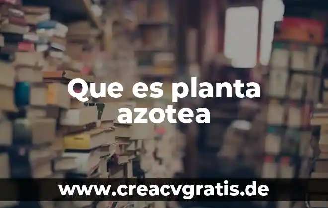 Turo que es planta 4 Que es planta azotea