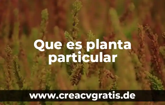Qué es la planta vascular biología 3 Que es planta particular