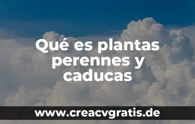 Por que es importante el sol en las plantas 6 Qué es plantas perennes y caducas