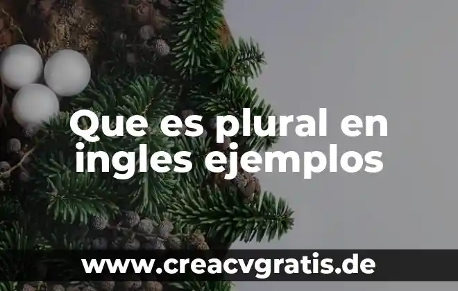 Que es una comunidad plural 3 Que es plural en ingles ejemplos