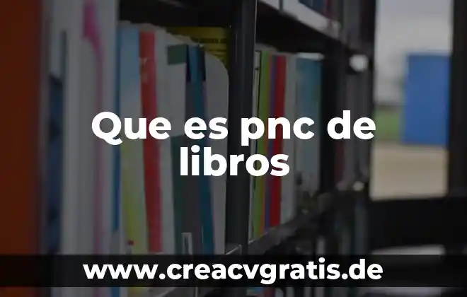 Libros que describan que es un modelo de negocio 3 Que es pnc de libros