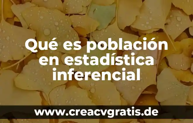 Que es estadistica y tipos de estadistica 4 Qué es población en estadística inferencial