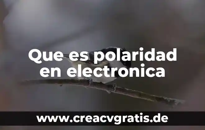 Que es significa w en fisica 4 Que es polaridad en electronica