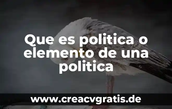 Qué es movimiento vertical tipos y ejemplos 7 Que es politica o elemento de una politica