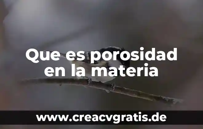 Que es un mensaje publicitario materia de español para secundaria 5 Que es porosidad en la materia