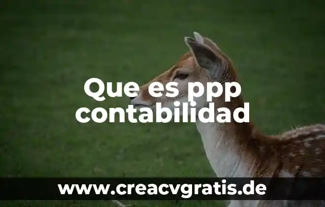Qué es un acreedor y un deudor en contabilidad 7 Que es ppp contabilidad
