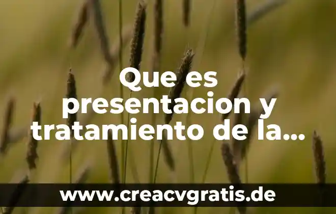 Presentacion interna que es 3 Que es presentacion y tratamiento de la información
