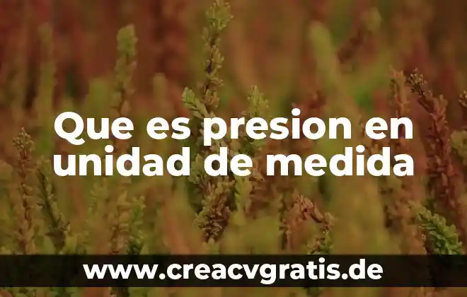 Qué es un medidor de presión mecánico 4 Que es presion en unidad de medida