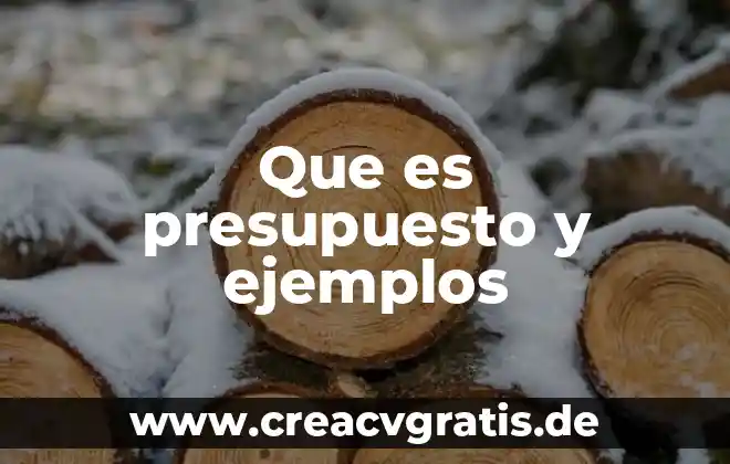 Que es un contrato tipos de contrato y ejemplos 5 Que es presupuesto y ejemplos