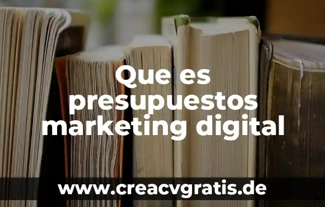 Que es un nivel en presupuestos 5 Que es presupuestos marketing digital